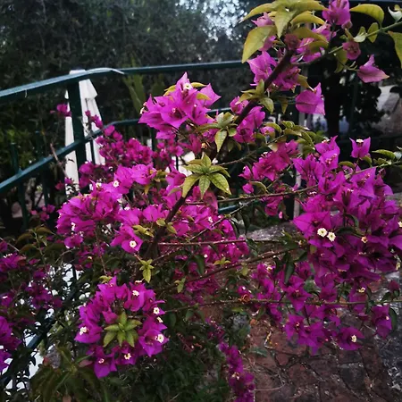 Appartamento Iride La Spezia