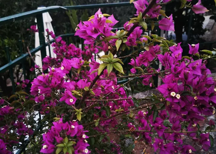 公寓 Iride 斯培西亚